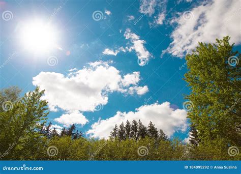 Sunny Weather Warm