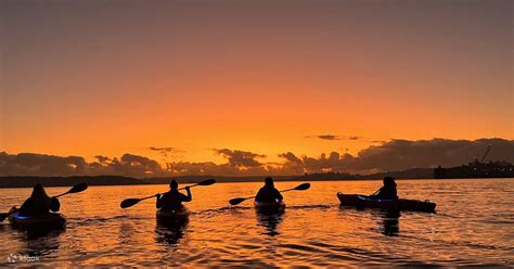 Sunrise Kayak Experience