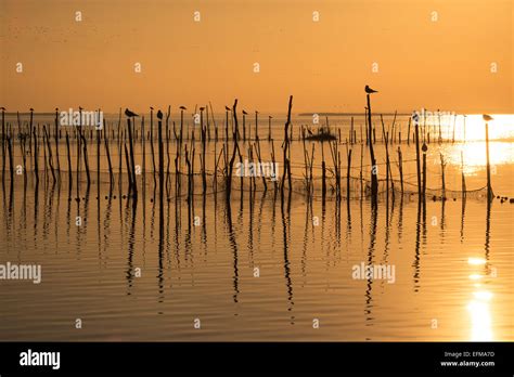 Sunset Albufera Lagoon