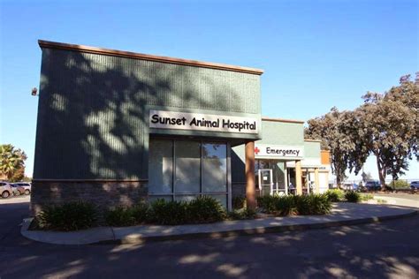 Discover Exceptional Pet Care at Sunset Animal Hospital Fairfield CA - Where Your Pets Are Treated Like Family