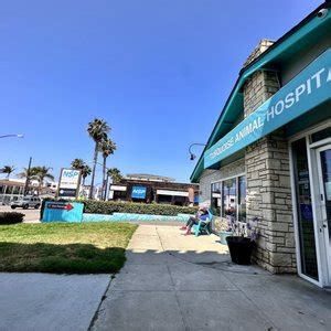 Expert Veterinary Care and Compassionate Service at Sunset Cliffs Animal Hospital
