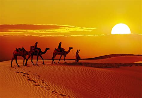Sunset Desert Rajasthan