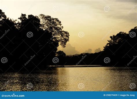 Sunset Over Caroni Swamp