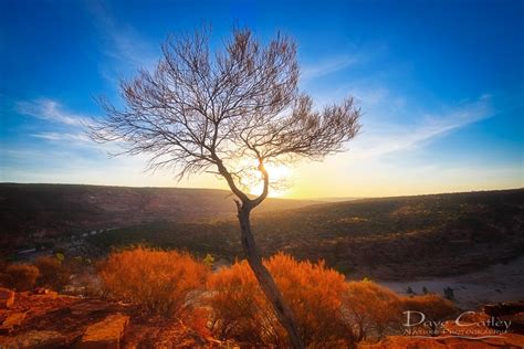 Sunset Photography Kalbarri