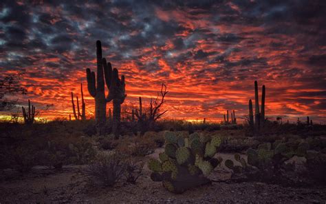 Sunset in Arizona