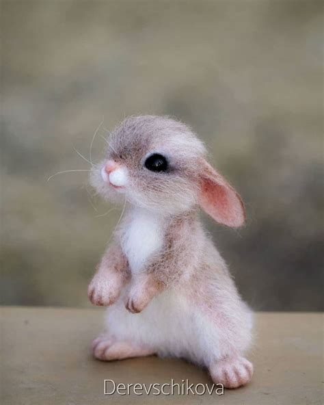 Super Cute Cute Animals