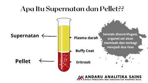 Supernatan