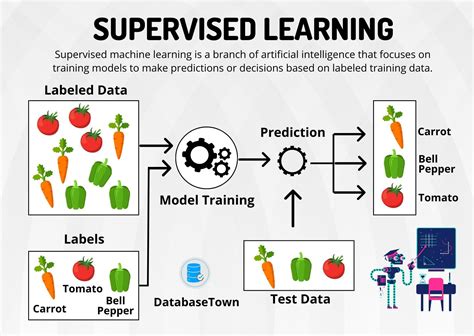 Supervised Learning: Definisi, Jenis, & Aplikasi Praktis