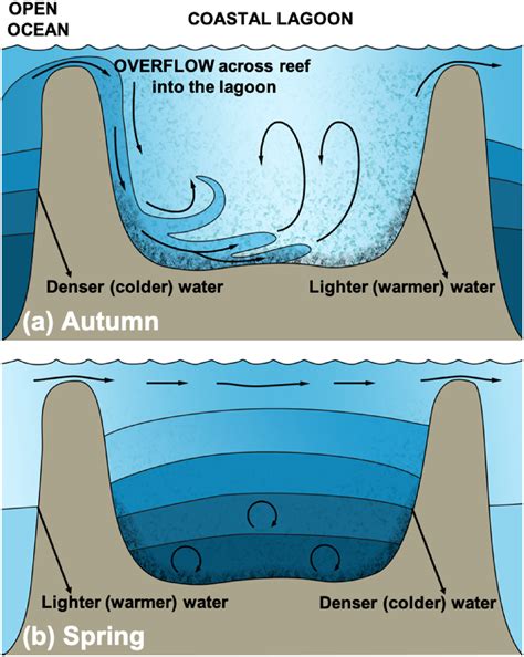 Supply and Circulation Dynamics