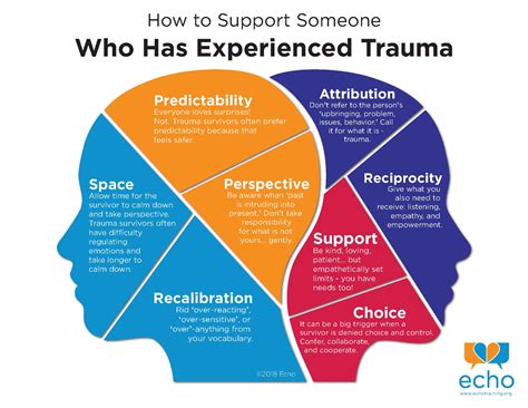 Support During Trauma Recovery
