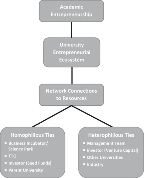 Support Infrastructure and Networks in Entrepreneurship Ecosystem