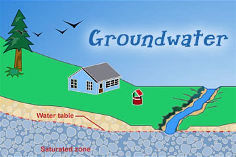 Support healthy groundwater levels with regular lawn maintenance