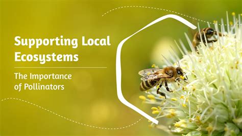 Supporting Local Ecosystems