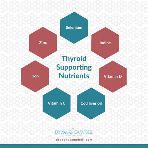 Supporting Thyroid Function