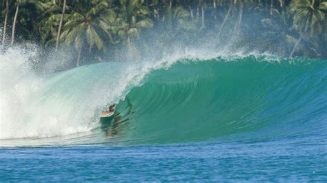 Surf trip booking