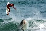 Surfing with Sharks