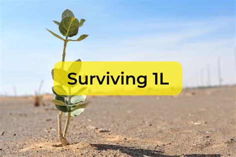 Surviving Your First Year (1L)