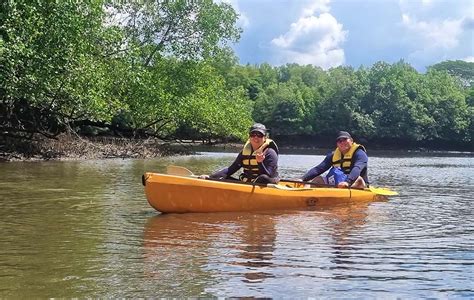 Sustainability Kayak Tour