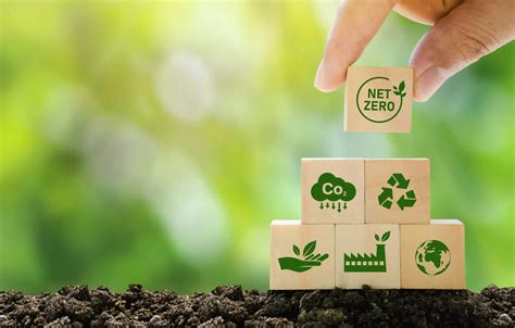 Sustainability and Eco-Conscious Practices
