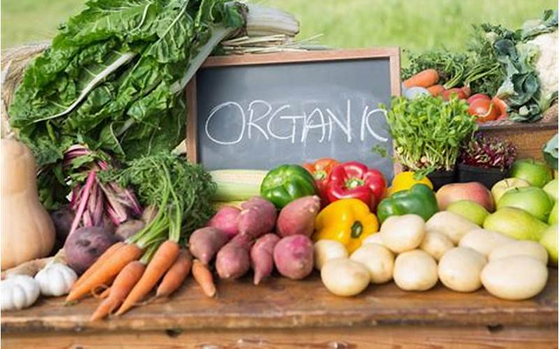 Sustainable Community Gardens: Growing Food Locally With Organic Practices