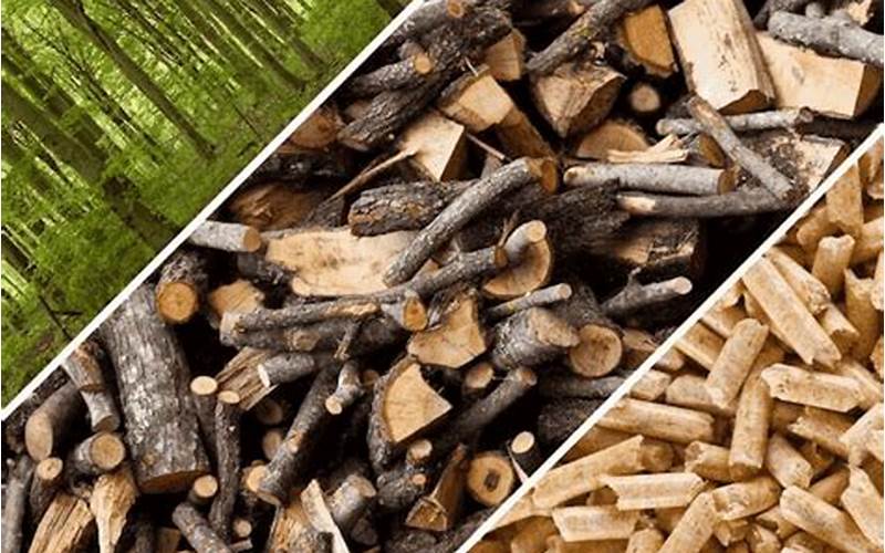 Sustainable Forest Management: Harnessing Biomass For Renewable Energy