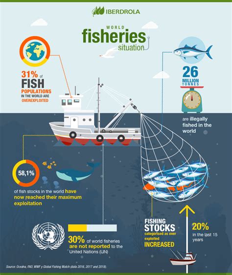 Sustainable Fishing