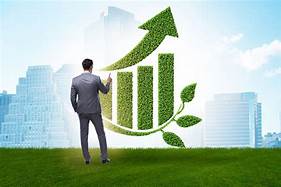 Sustainable Growth Profitability