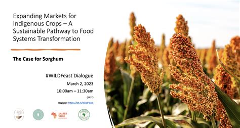 Sustainable Indigenous Food Storage