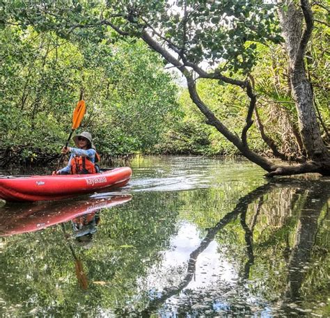 Sustainable Kayaking Trail