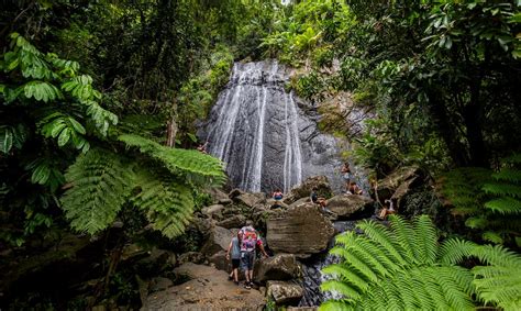 Sustainable Practices El Yunque