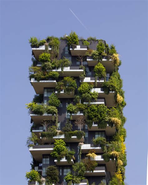 Sustainable and Eco-Friendly Designs