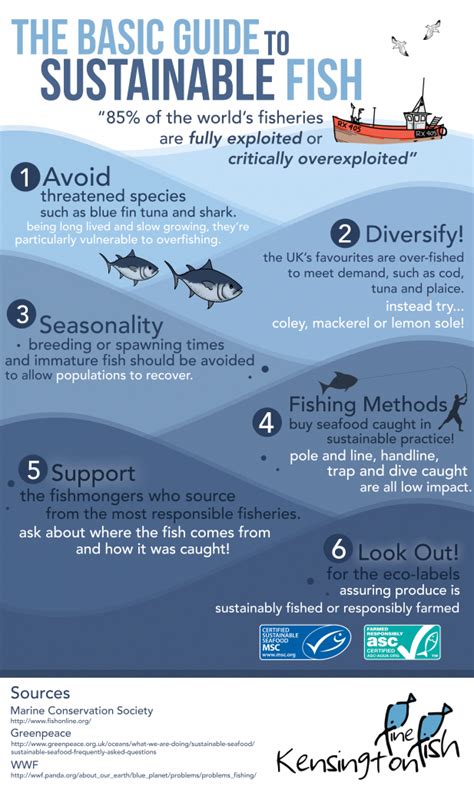 Sustainable fishing practices in Norwegian fish oil supplements