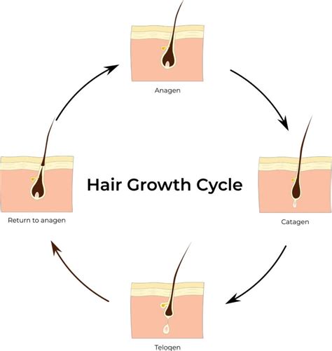 Sustaining Hair Growth