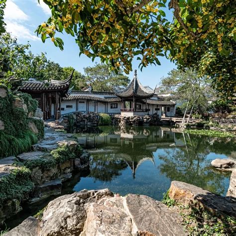 Suzhou Gardens