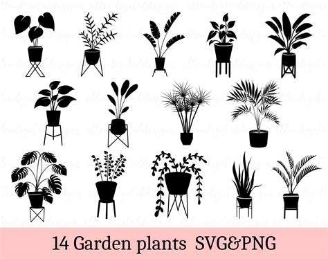 Unleashing Nature's Beauty: Spruce up your design with SVG Plants
