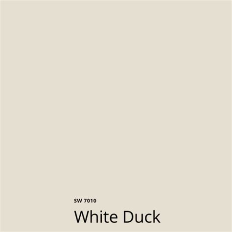 Stunning SW White Duck - A Majestic Beauty