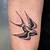 Swallow Bird Tattoo Pictures Designs