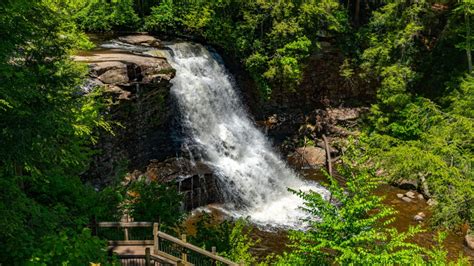 Experience Wonders Beyond Your Imagination at Swallow Falls State Park: Unleash Your Inner Adventurer with Thrilling Things To Do