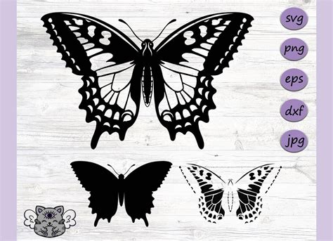 Download Swallowtail Butterfly SVG File - SVG Design Printable