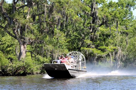 Swamp Airboat Tour