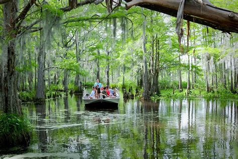 Swamp Tour Tips