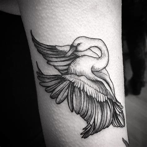 White And Black Swan Tattoos And HistorySwan Tattoo