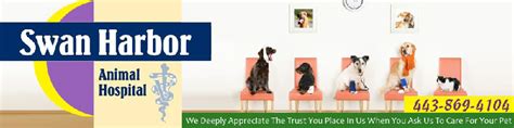 Swan Harbor Animal Hospital: Providing Top-Quality Veterinary Care for Your Furry Companions