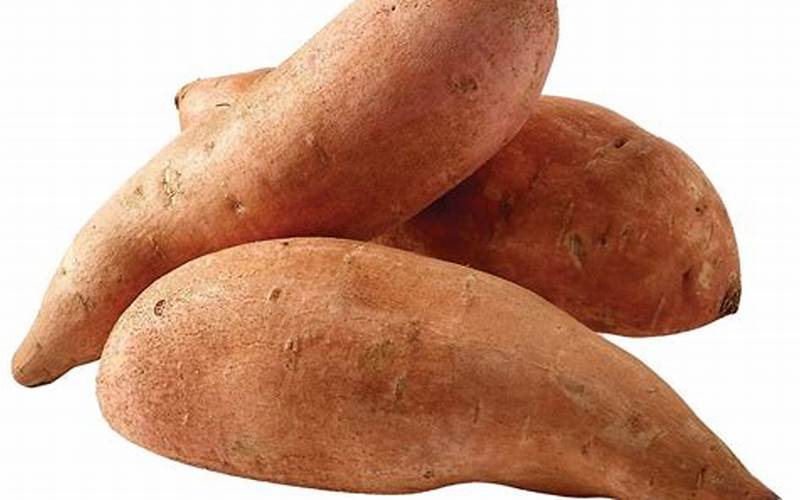 Sweet Potato Image