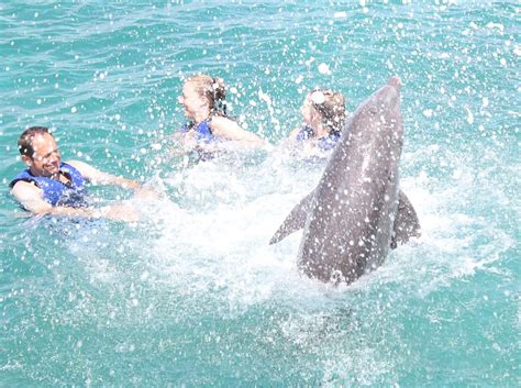 Swim with Dolphins Splash Program