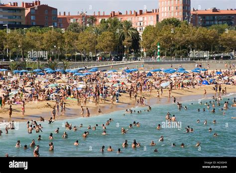 Swimming Barcelona