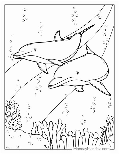 Swimming Dolphin Coloring Pages
