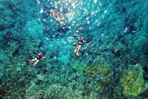 Swimming Elaphite Islands