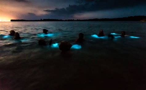 Swimming Luminous Lagoon