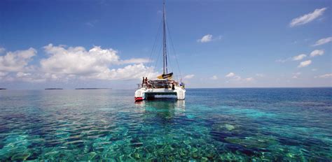 Swimming stop Cyprus